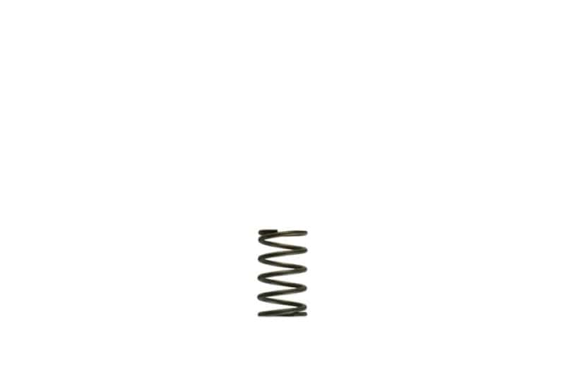 Turbosmart — Turbosmart WG38/40 5psi Grey Inner Spring
Inner Spring - view 2