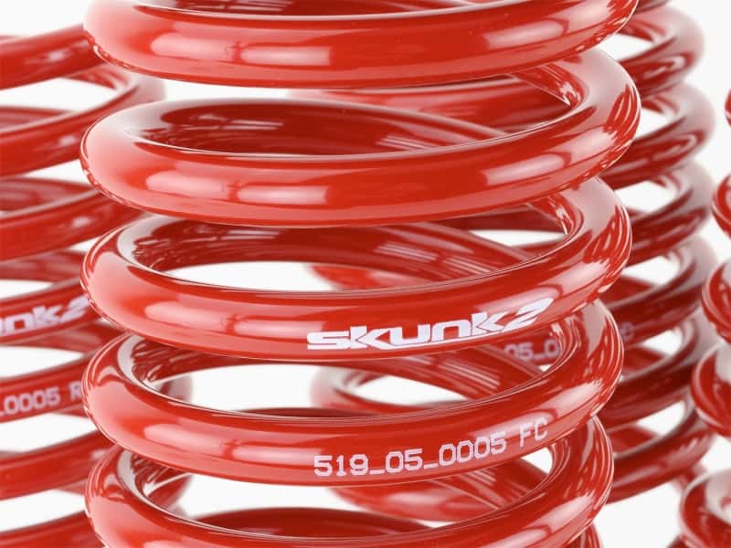 Skunk2 Racing — Skunk2 96-00 Honda Civic Lowering Springs (2.50in - 2.25in.) (Set of 4)
Coil Spring Set - view 8
