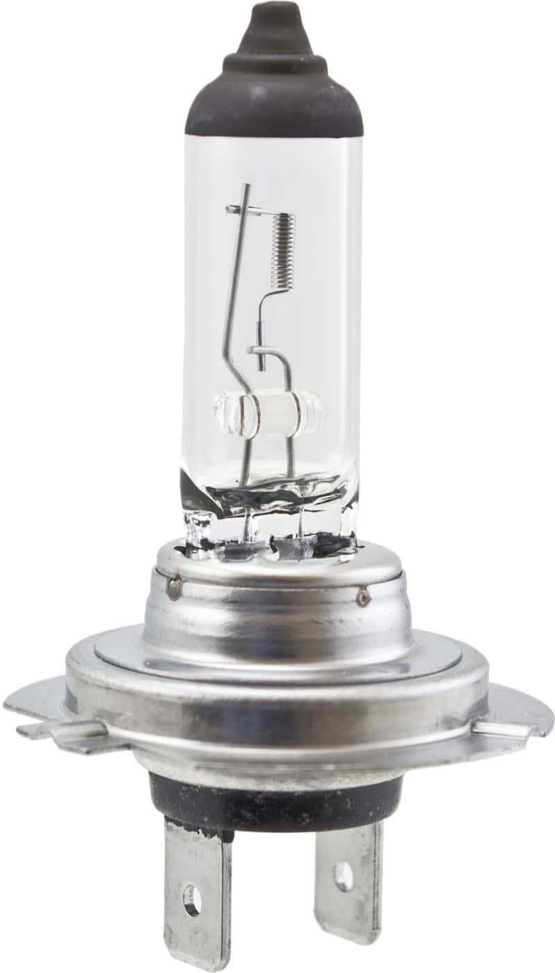 Hella — Hella High Wattage Bulb H7 12V 100W PX26d T4.6
H7 100W Halogen Bulb - view 3