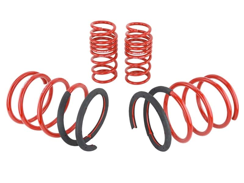 Skunk2 Racing — Skunk2 02-04 Acura RSX Lowering Springs (2.25in - 2.00in.) (Set of 4)
Coil Spring Set - view 6
