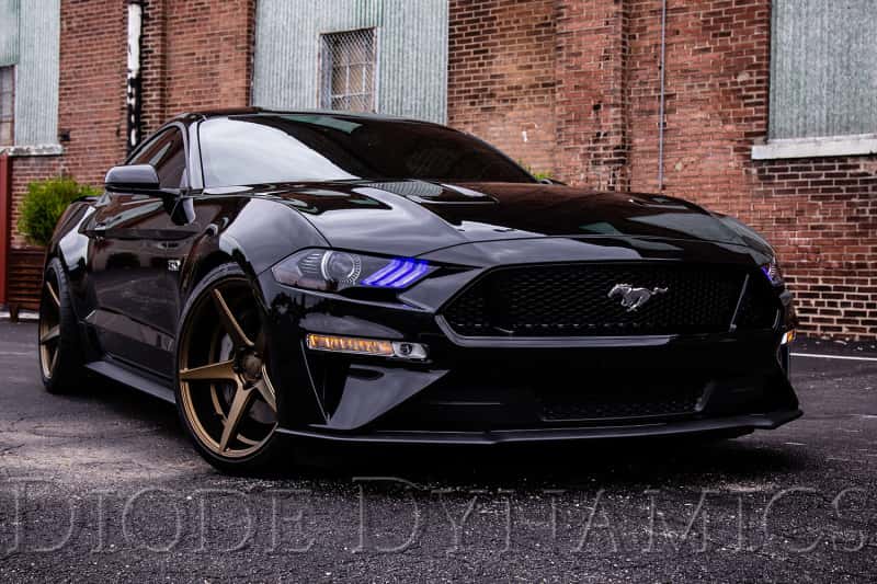 Diode Dynamics — Diode Dynamics 18-23 EU/AU Ford Mustang RGBWA DRL LED Boards - view 4