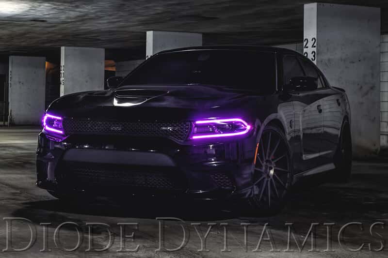 Diode Dynamics — Diode Dynamics 2015-2018 Dodge Charger RGBW DRL LED Boards - view 4
