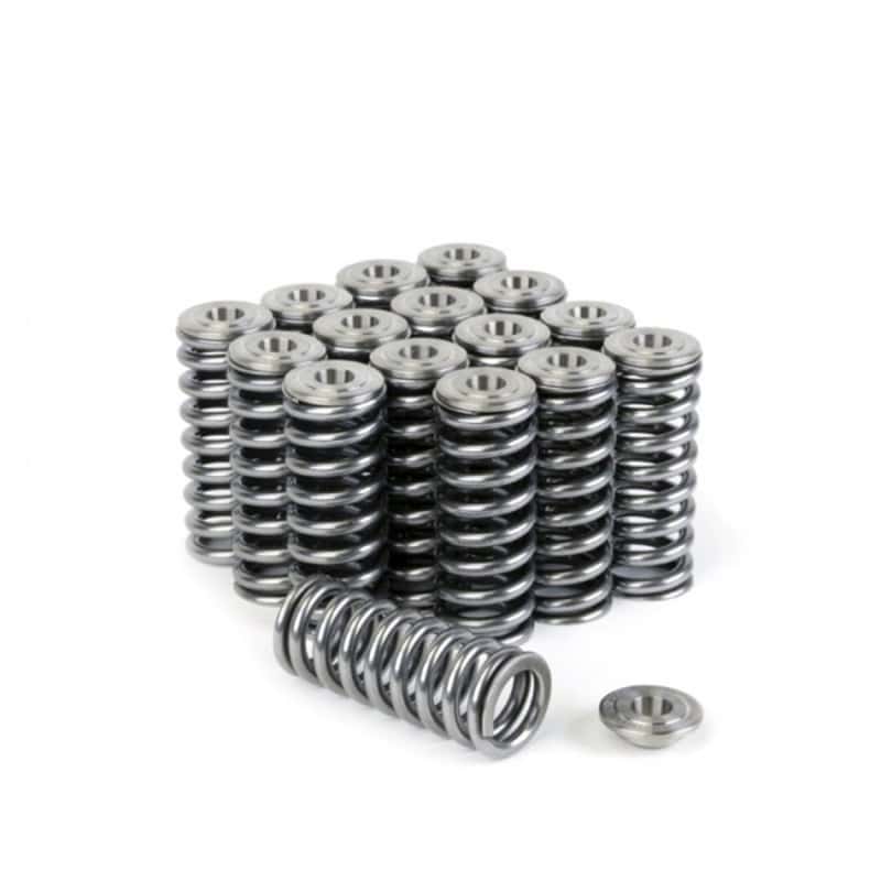 Skunk2 Racing — Skunk2 Alpha Series Honda/Acura D Series Valve Spring and Titanium Retainer Kit
Valve Spring Kit - view 1