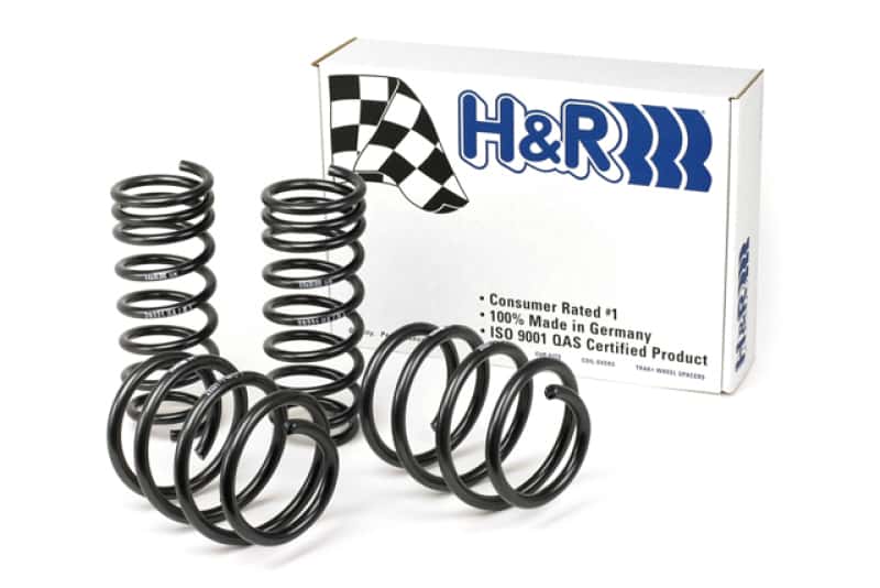 H&R — H&R 04-11 BMW 645Ci Coupe/650i Coupe E63 Sport Spring (w/Dynamic Drive/Non Convertible)
Sport Spring - view 2