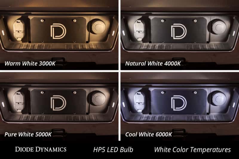 Diode Dynamics — Diode Dynamics 194 LED Bulb SMD2 LED - Cool - White (Pair) - view 4