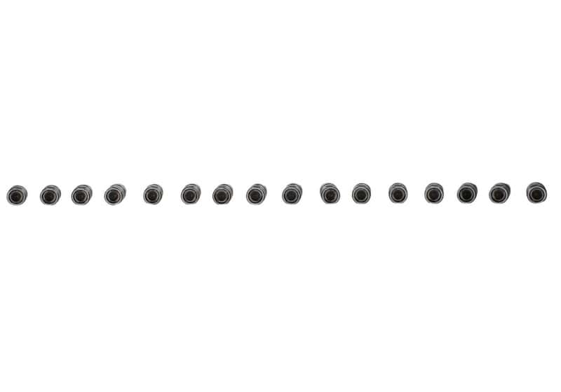 Ford Racing — Ford Racing 302/351W Hydraulic Roller Cam Lifters (Set of 16)
Lifter Set - view 10
