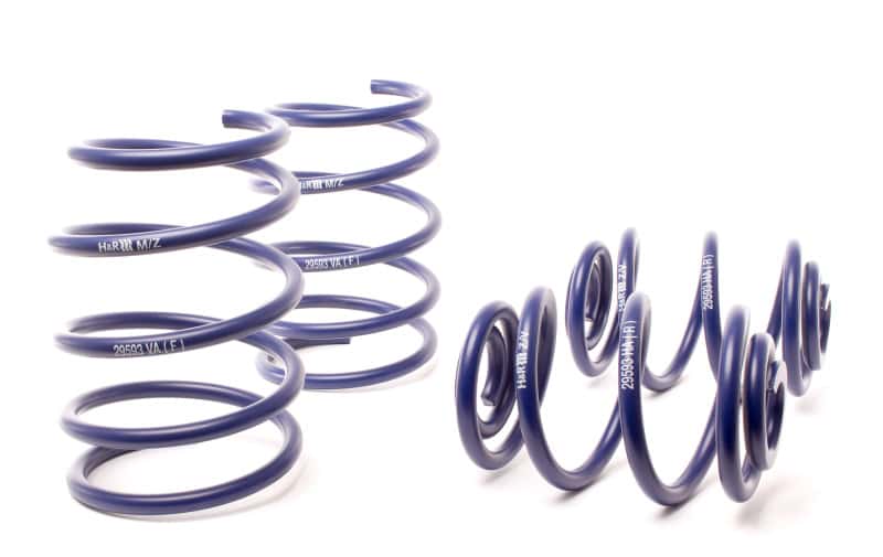 H&R — H&R 95-98 BMW 318ti E36 Compact Race Spring
Race Spring - view 1