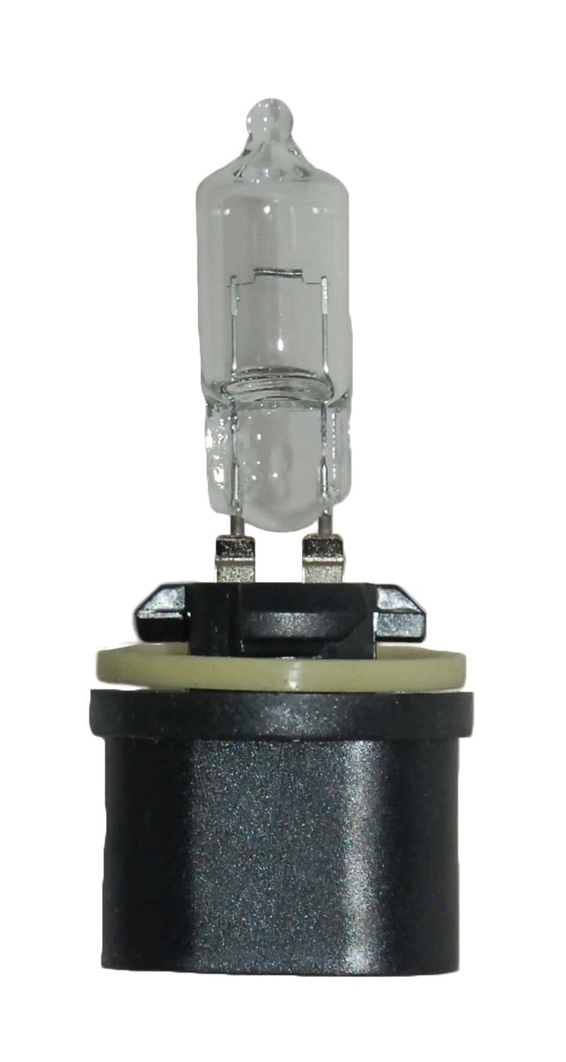 Hella — Hella Bulb 890 12V 27W Pg13 T325
890 Halogen Bulb - view 2