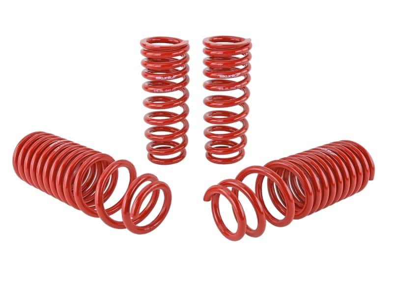 Skunk2 Racing — Skunk2 90-93 Acura Integra Lowering Springs (2.50in - 2.25in.) (Set of 4)
Coil Spring Set - view 6