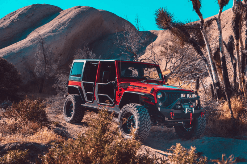 Body Armor 4x4 — Body Armor 4x4 07-18 Jeep Wrangler JK Tube Doors Front Pair
Tube Doors Front - view 4
