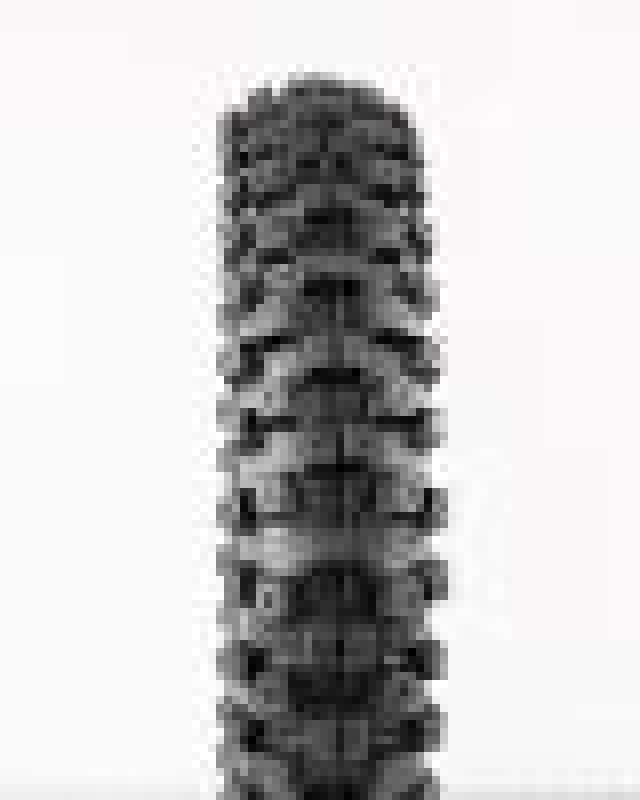 ProTaper — ProTaper MXT 04 Front Tire 70/100-17 - view 1