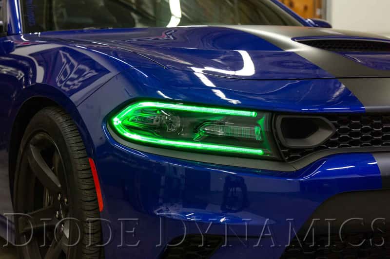 Diode Dynamics — Diode Dynamics RGBW DRL LED Boards for 2019-2021 Dodge Charger - view 2