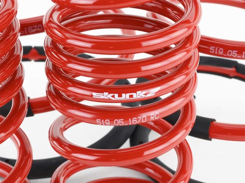 Skunk2 Racing — Skunk2 02-04 Acura RSX Lowering Springs (2.25in - 2.00in.) (Set of 4)
Coil Spring Set - view 8