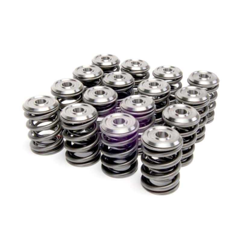 Skunk2 Racing — Skunk2 Alpha Series Honda/Acura B Series Valve Spring and Titanium Retainer Kit
Valve Spring Kit - view 1