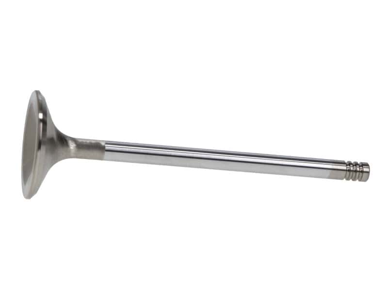 Manley Performance — Manley Ford 6.2L 42mm Diameter 5.356in O/A Length Race Master Exhaust Valves (Set of 8)
Valve - Exhaust - view 3