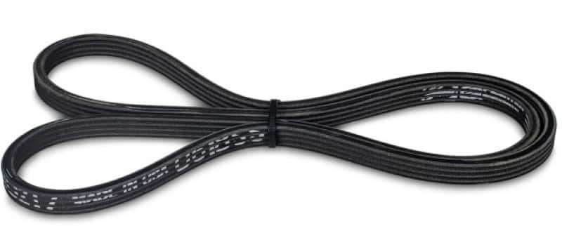 KraftWerks — KraftWerks Supercharger B&D Series Race Kit Replacement Belt
Accessory Drive Belt - view 2