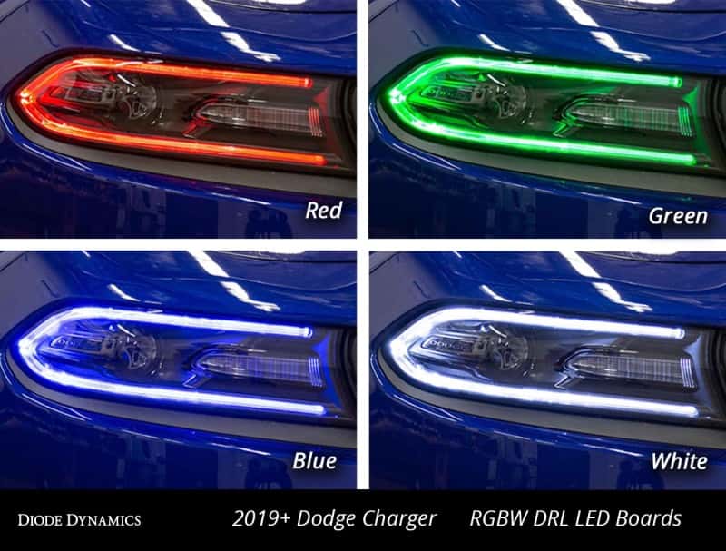 Diode Dynamics — Diode Dynamics RGBW DRL LED Boards for 2019-2021 Dodge Charger - view 5