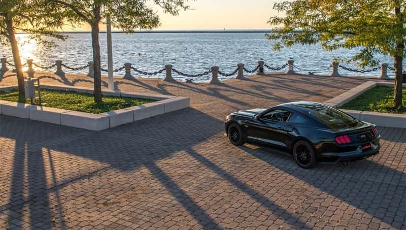 CORSA Performance — Corsa 2015-2017 Ford Mustang GT 5.0 3in Axle Back Exhaust Black Quad Tips (Sport)
Exhaust - view 6