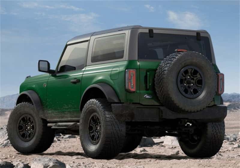 Ford Racing — Ford Racing Bronco Off-Road Hoop Steps
Truck Step - view 9