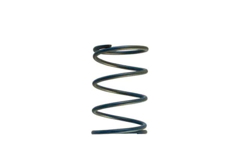 Turbosmart — Turbosmart Gen-V WG45/50 14psi Blue Outer Spring
Outer Spring - view 1