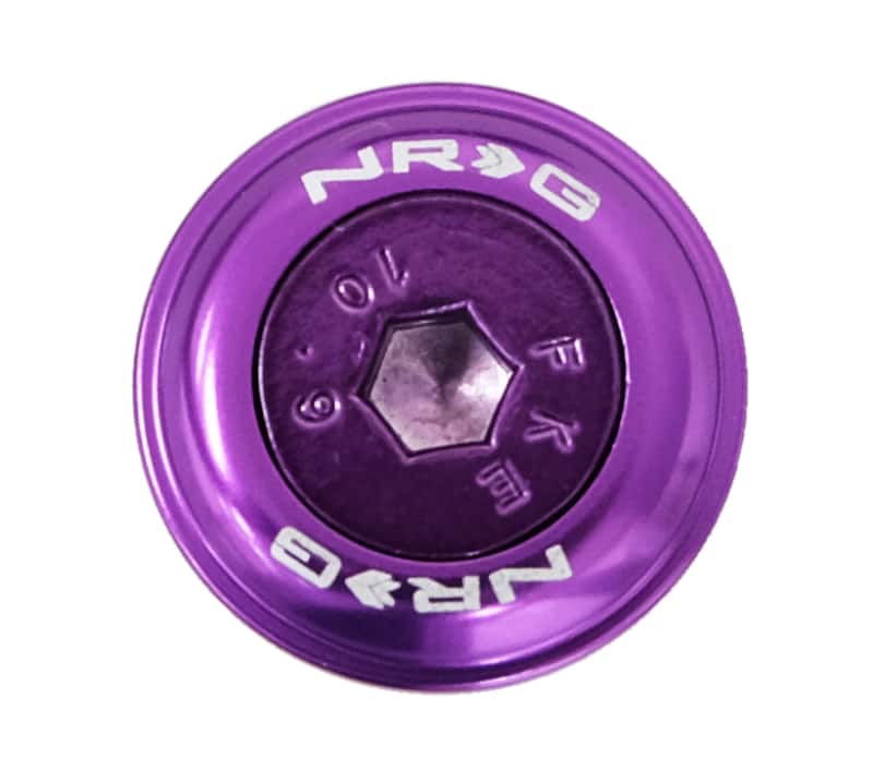 NRG — NRG Fender Washer Kit w/Color Matched M6 Bolt Rivets For Plastic (Purple) - Set of 10 - view 2