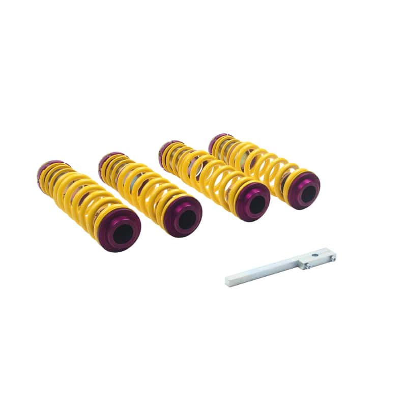 KW — KW H.A.S. Audi R8 (42); all models; all engines
Adj Lowering Springs - view 8