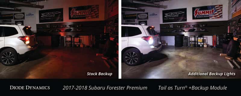 Diode Dynamics — Diode Dynamics 17-18 Subaru Forester Premium (USDM) Tail as Turn +Backup Module Module Only - view 7