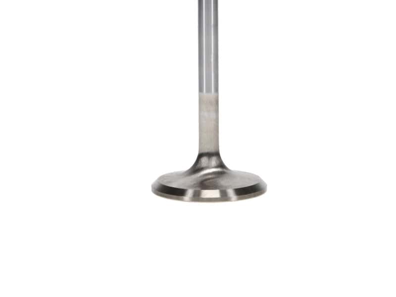 Manley Performance — Manley Ford 4.6L 34mm Diameter 117.35mm Length Race Master Exhaust Valves (Set of 8)
Valve - Intake - view 6