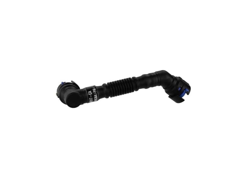 Ford Racing — Ford Racing Replacement Short PCV Hose (For M-6766-A50/A50A)
PCV Valve Hose - view 3