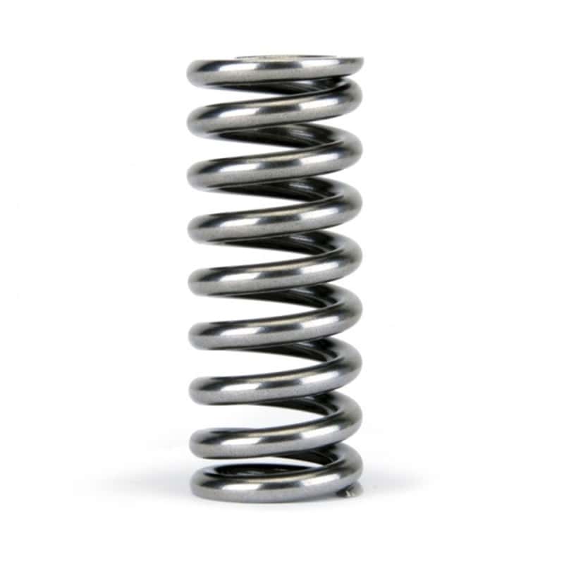 Skunk2 Racing — Skunk2 Alpha Series Honda D Series VTEC Valve Spring Set
Valve Spring Kit - view 5