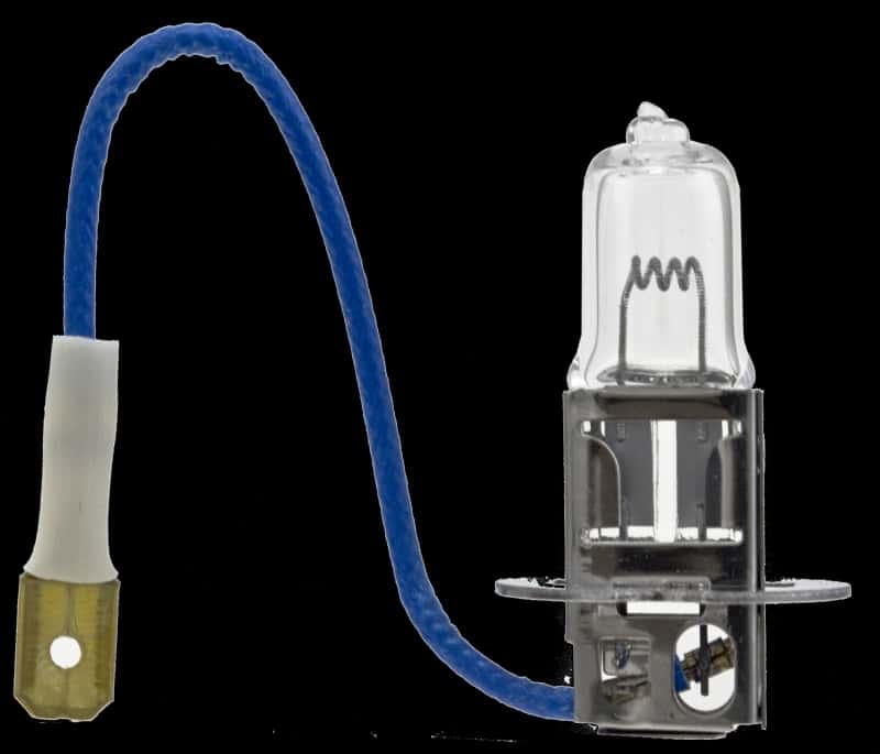 Hella — Hella H3 24V/70W PK22s T3.25 Halogen Bulb
H3 24V Halogen Bulb - view 2