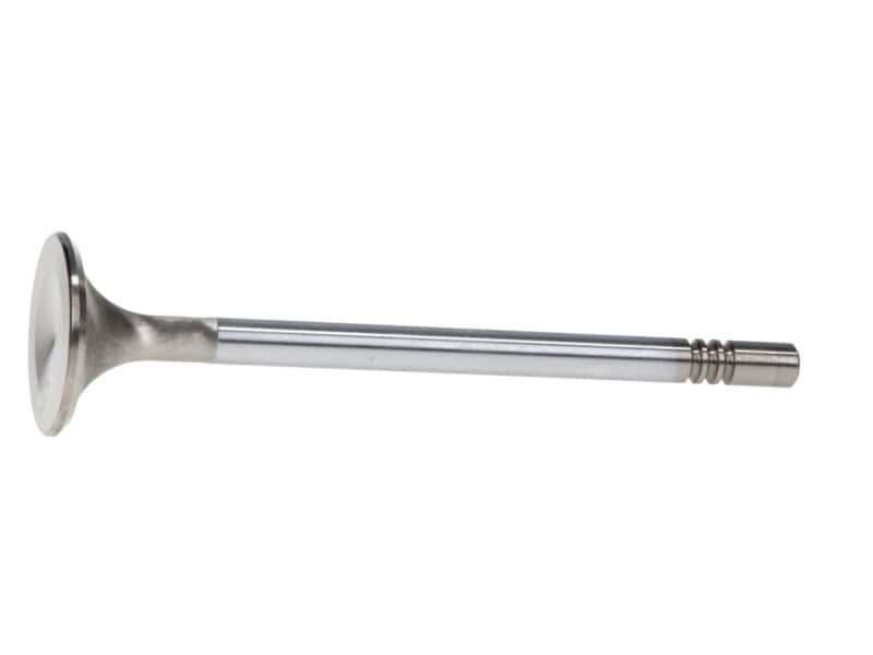 Manley Performance — Manley Ford Coyote 5.0L DOHC Race Master 32mm Head 5.96mm Stem 4.274 Length (Set of 8)
Valve - Exhaust - view 3
