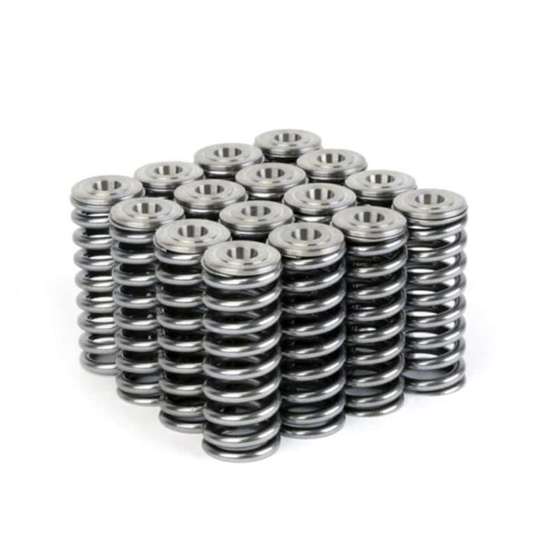 Skunk2 Racing — Skunk2 Alpha Series Honda/Acura D Series Valve Spring and Titanium Retainer Kit
Valve Spring Kit - view 10