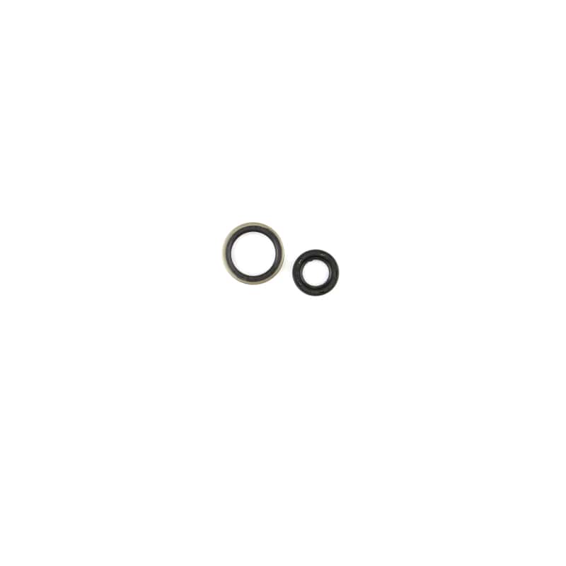 Cometic Gasket — Cometic 89-97 Suzuki RM125 Oil Seal Kit - view 1