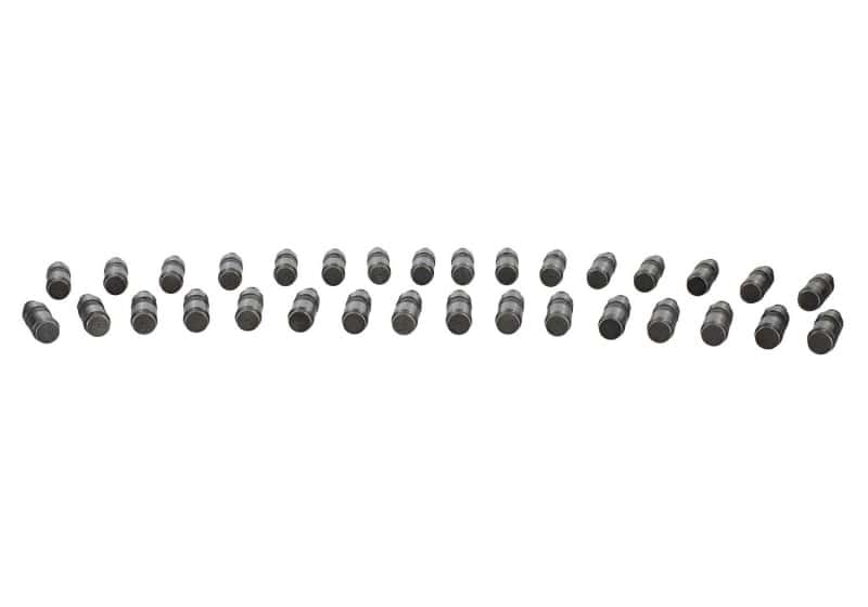 Ford Racing — Ford Racing 11-25 5.0L Mustang GT Coyote Lash Adjuster Assembly Kit
Lifter Set - view 4