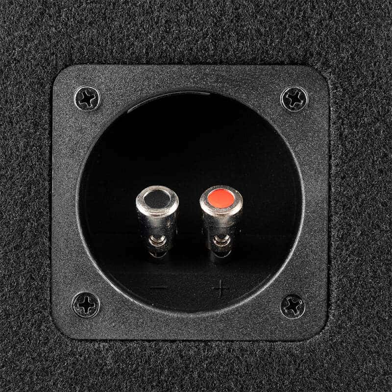 DS18 — DS18 Dual 10in Loaded 800 Watts RMS 2x GEN-X104D Ported Enclosure Speakers Included - view 2