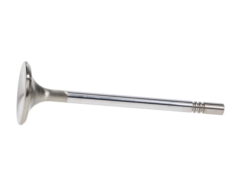 Manley Performance — Manley Ford Racing Cylinder Head 4.6L & 5.4L SOHC 36.0mm Race Master Exhaust Valves *Set of 8*
Valve - Exhaust - view 3