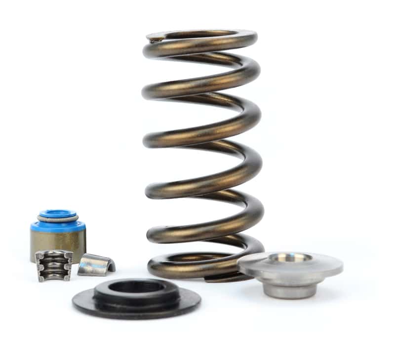COMP Cams — COMP Cams 11-14 Ford Coyote/Boss 5.0L .600in Max Lift Valve Spring Kit
CyteBeeSprnKit113cts - view 1