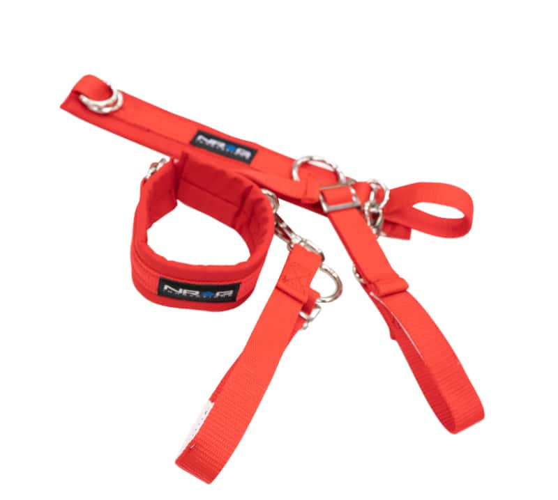NRG — NRG SFI 3.3 Arm Restraints One Pair - Red - view 1