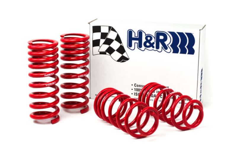 H&R — H&R 94-95 Ford Mustang/Mustang Cobra V8 Race Spring
Race Spring - view 2
