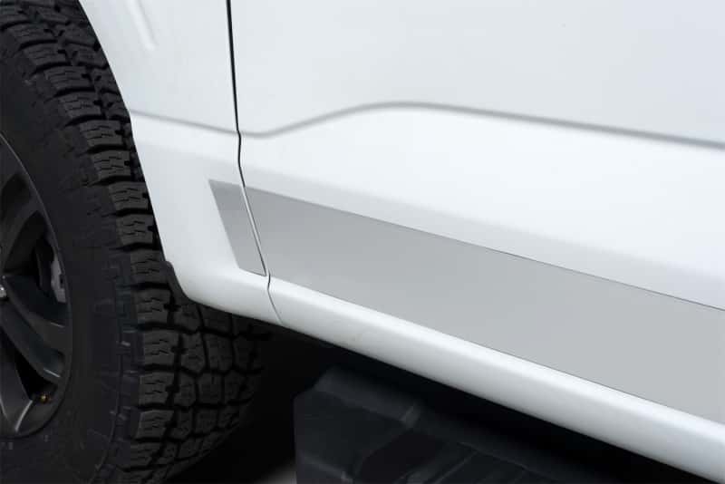 Putco — Putco 2021 Ford F-150 Reg Cab 6.5ft Short Box Stainless Steel Rocker Panels (4.25in Tall 10pcs)
Rocker Panel Molding - view 1