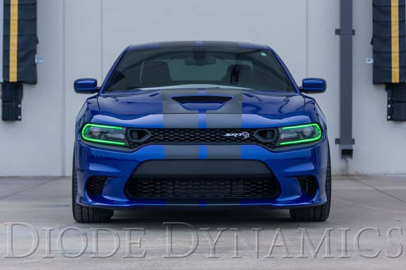 Diode Dynamics — Diode Dynamics RGBW DRL LED Boards for 2019-2021 Dodge Charger - view 4