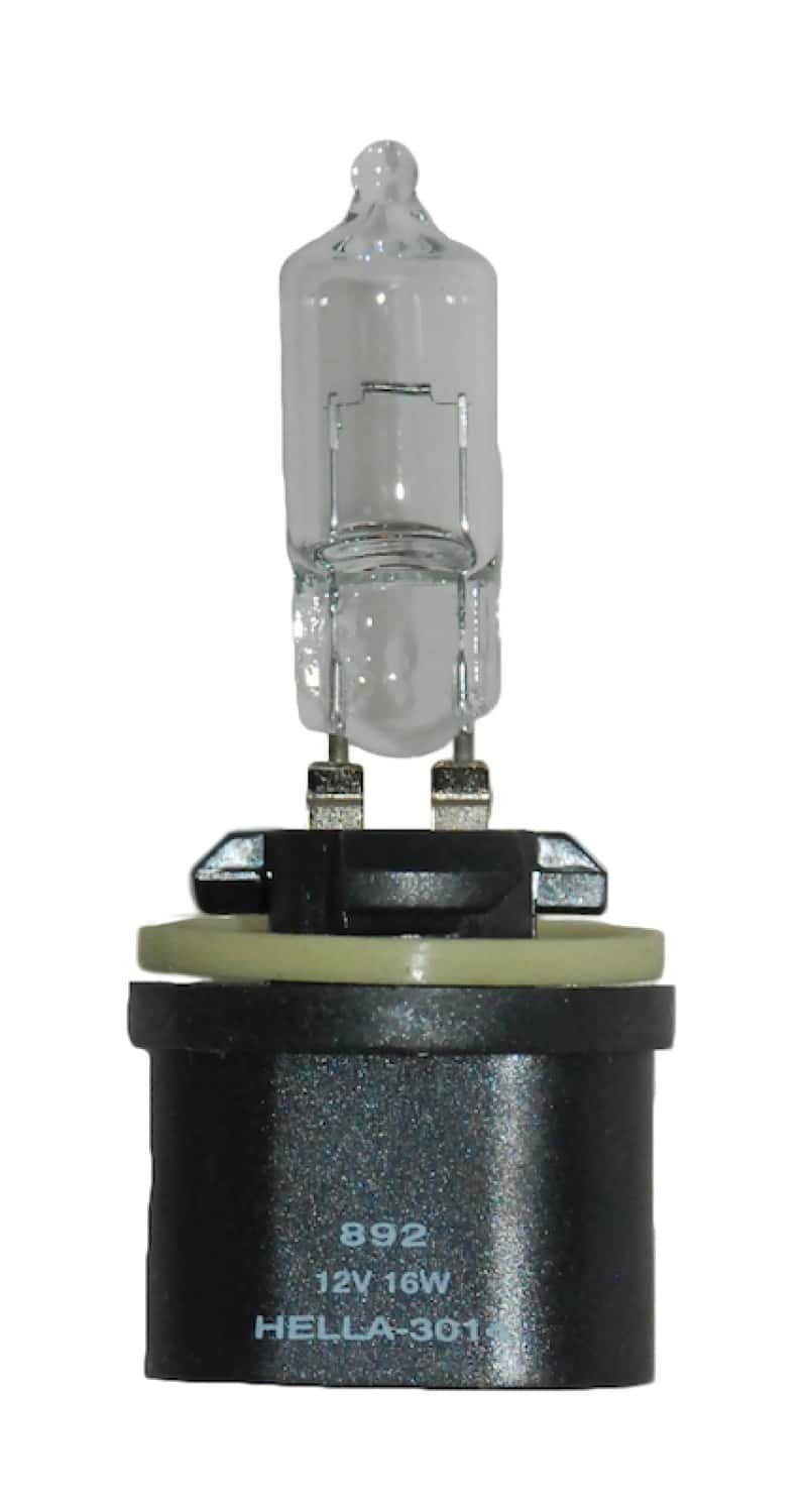 Hella — Hella Bulb 892 12V 16W Pg13 T325
892 Halogen Bulb - view 1