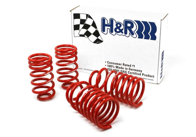 H&R — H&R 96-98 Volkswagen Golf/Jetta 8V MK3 Race Spring (After 7/1/96)
Race Spring - view 2
