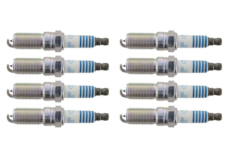 Ford Racing — Ford Racing 11-21 Mustang GT 5.0L Cold Spark Plug Set
Spark Plug Set - view 3