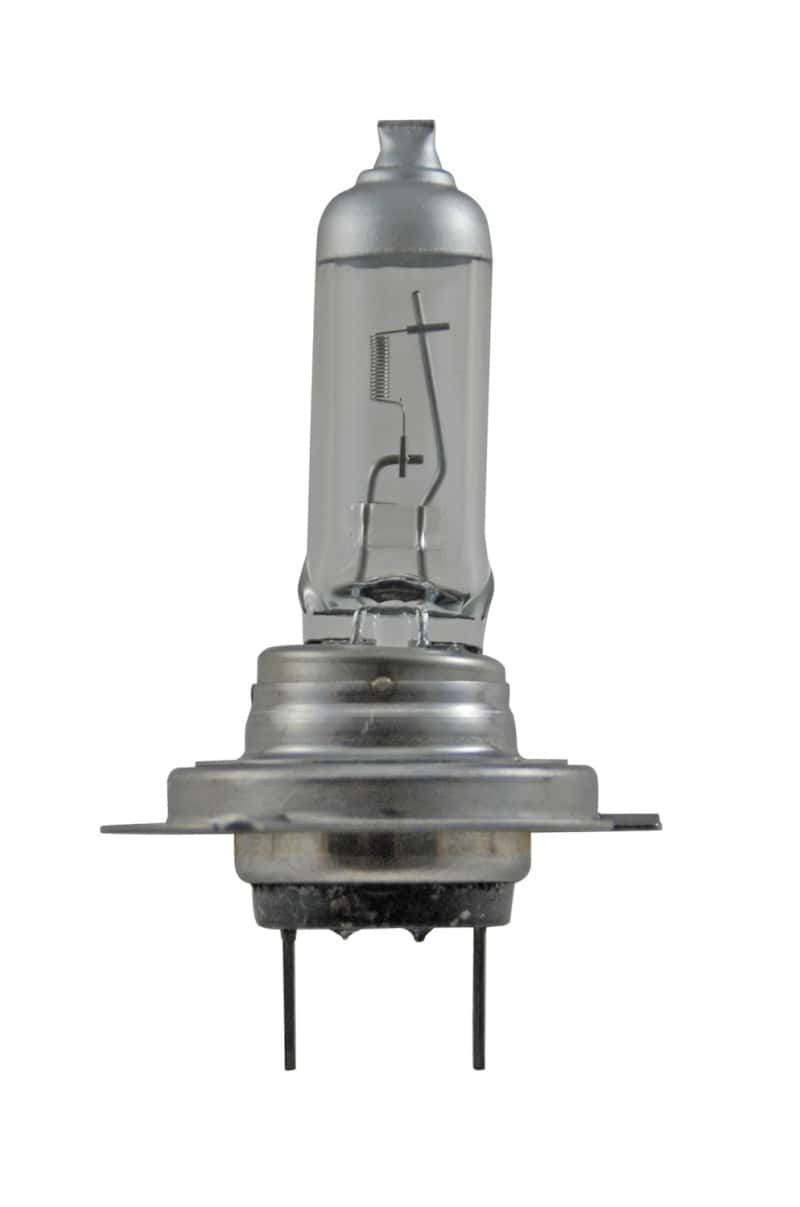Hella — Hella Bulb H7 12V 55W Px26D T4625 +50
H7P50 Halogen Bulb - view 2