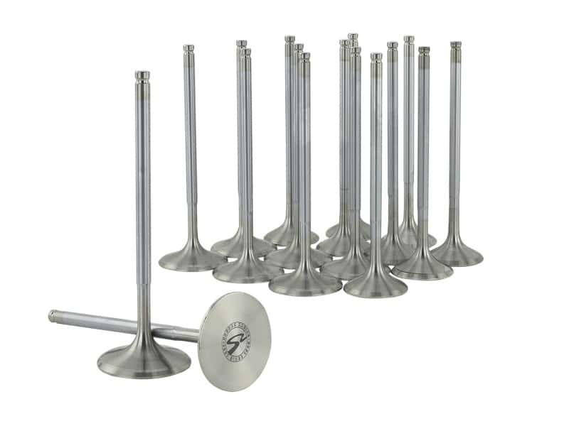 Skunk2 Racing — Skunk2 Alpha Series Honda/Acura Stock Size H Series Valve Set (Standard Compression)
Engine Valve Set - view 3