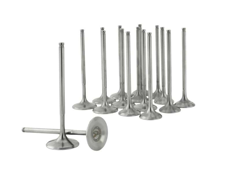Skunk2 Racing — Skunk2 Ultra Series Honda/Acura Stock Size B Series VTEC Valve Set (Standard Compression)
Engine Valve Set - view 3