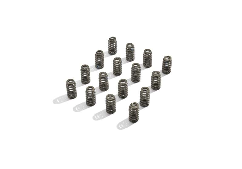 Ford Racing — Ford Racing BOSS 302R Valve Spring Kit - view 4