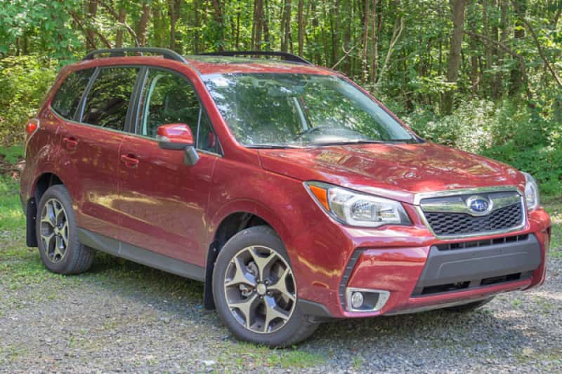 Rally Armor — Rally Armor 14-18 Subaru Forester Black Mud Flap w/ Grey Logo
Mud Flap - view 7